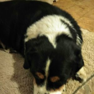 Meet your Posher, Vicky